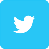 {{T.twitter.properties.alternativeText}}